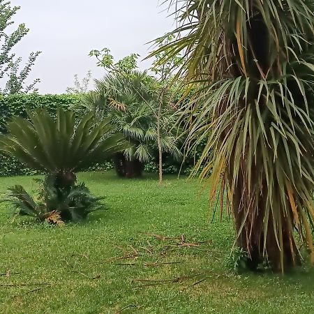 Caianello Vecchio Villa Marano المظهر الخارجي الصورة
